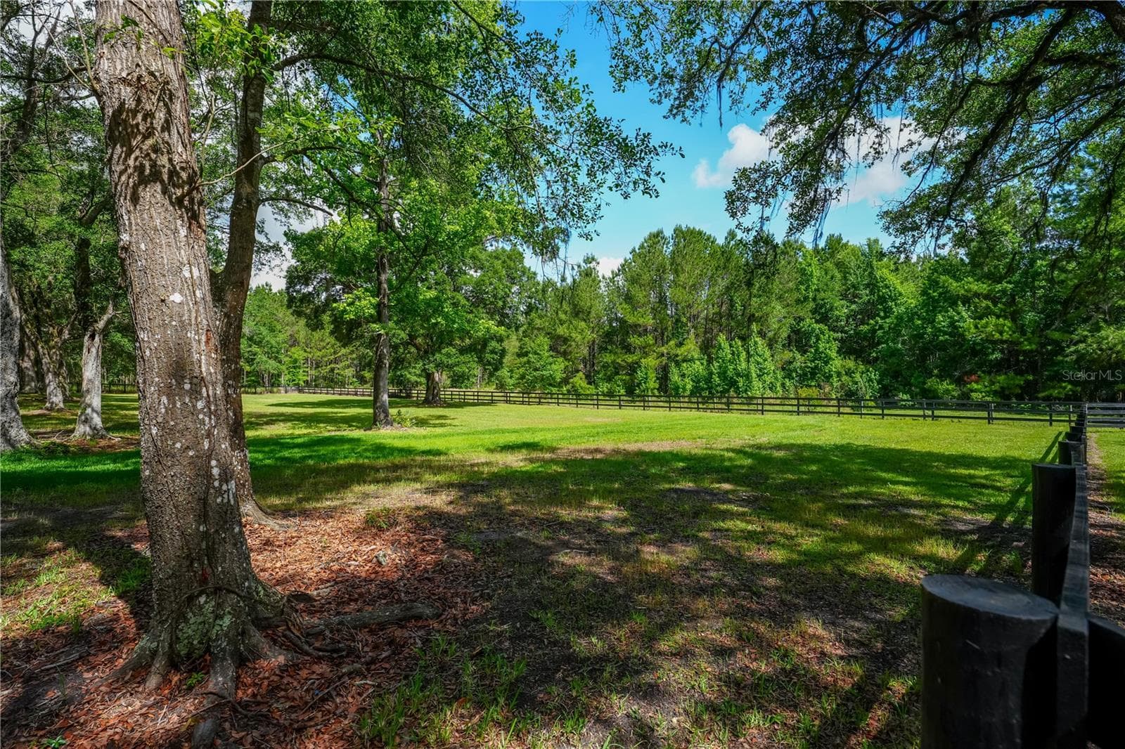 Single Family Residence at 6450 NW HIGHWAY 225, OCALA, photo 76 of 86