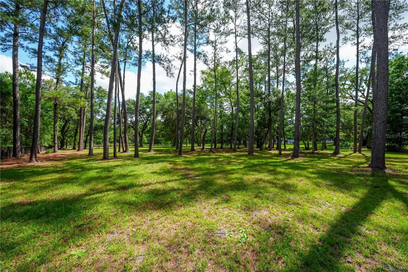 Single Family Residence at 6450 NW HIGHWAY 225, OCALA, photo 77 of 86