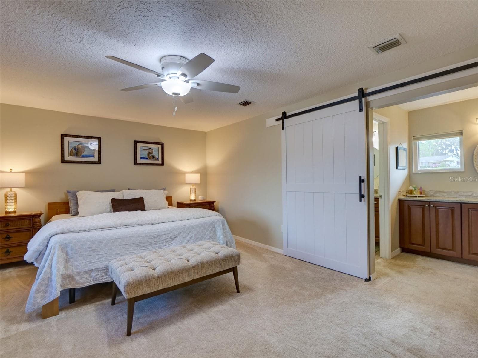 Primary Bedroom: Open Barn Door to the Bathroom - 100 S TREMAIN ST #G2, MOUNT DORA