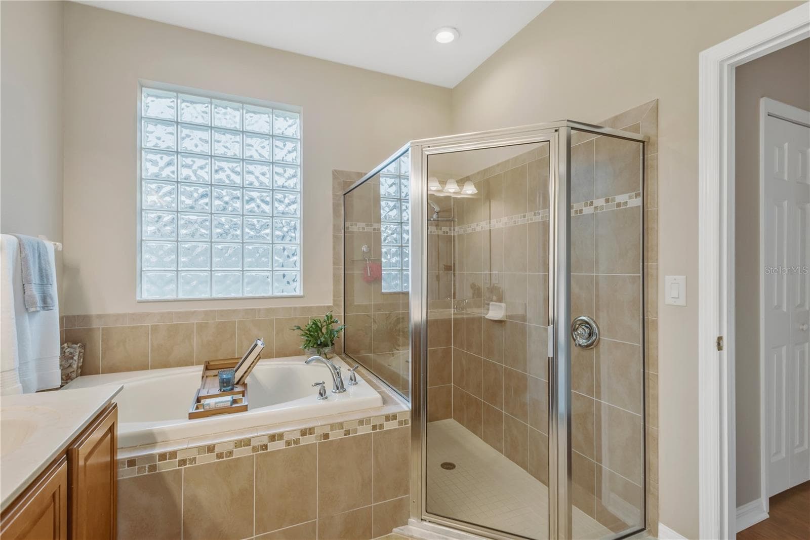 Single Family Residence at 10859 BREAKING ROCKS DR, TAMPA, photo 12 of 26