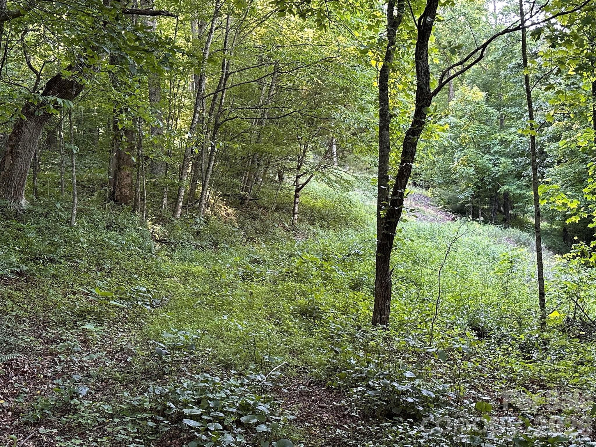 Acreage at 65 Blue Ridge Gem Mine Road, Little Switzerland, photo 10 of 31