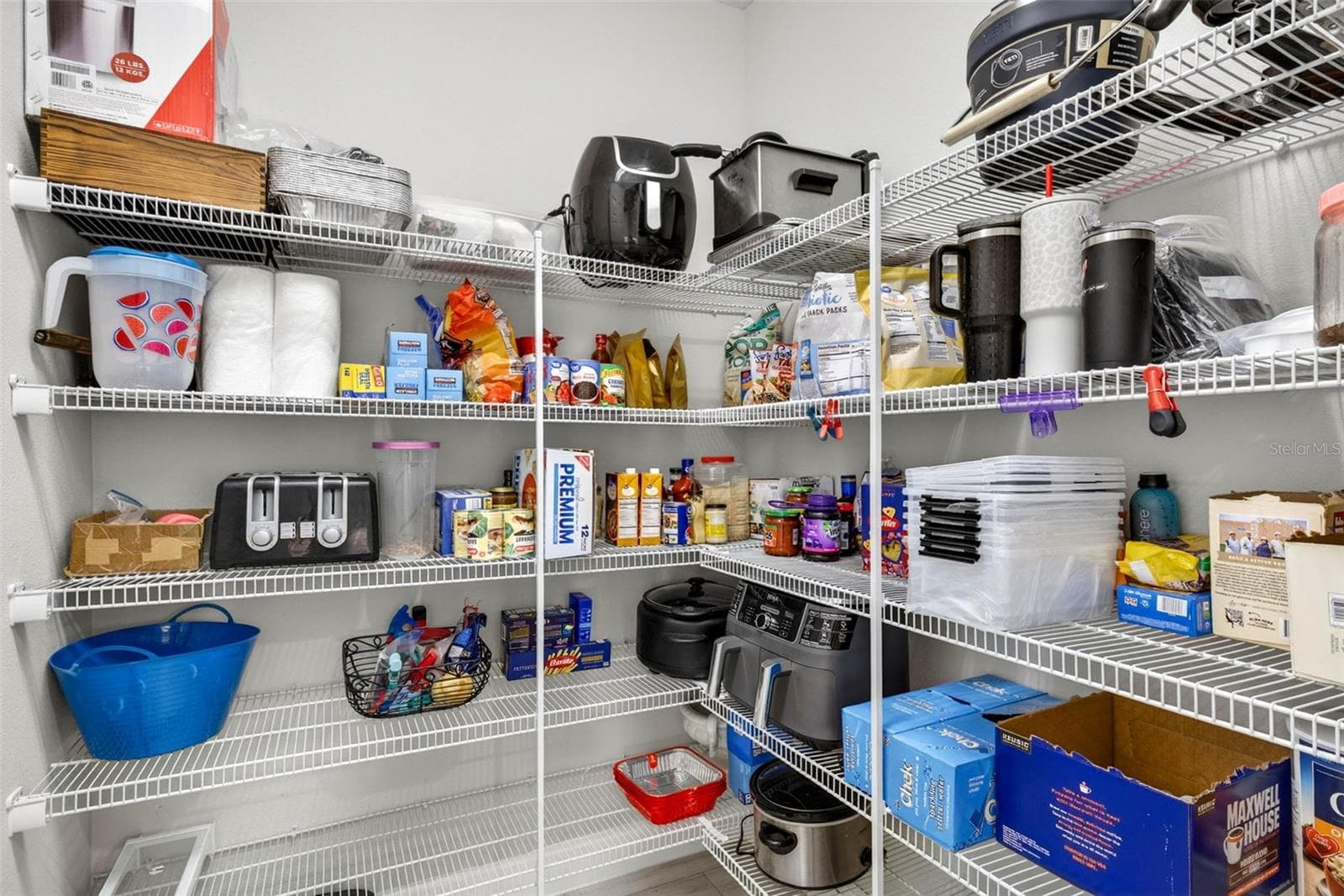 Large Walk-in Pantry - 29894 CHAPEL CHASE DR, WESLEY CHAPEL