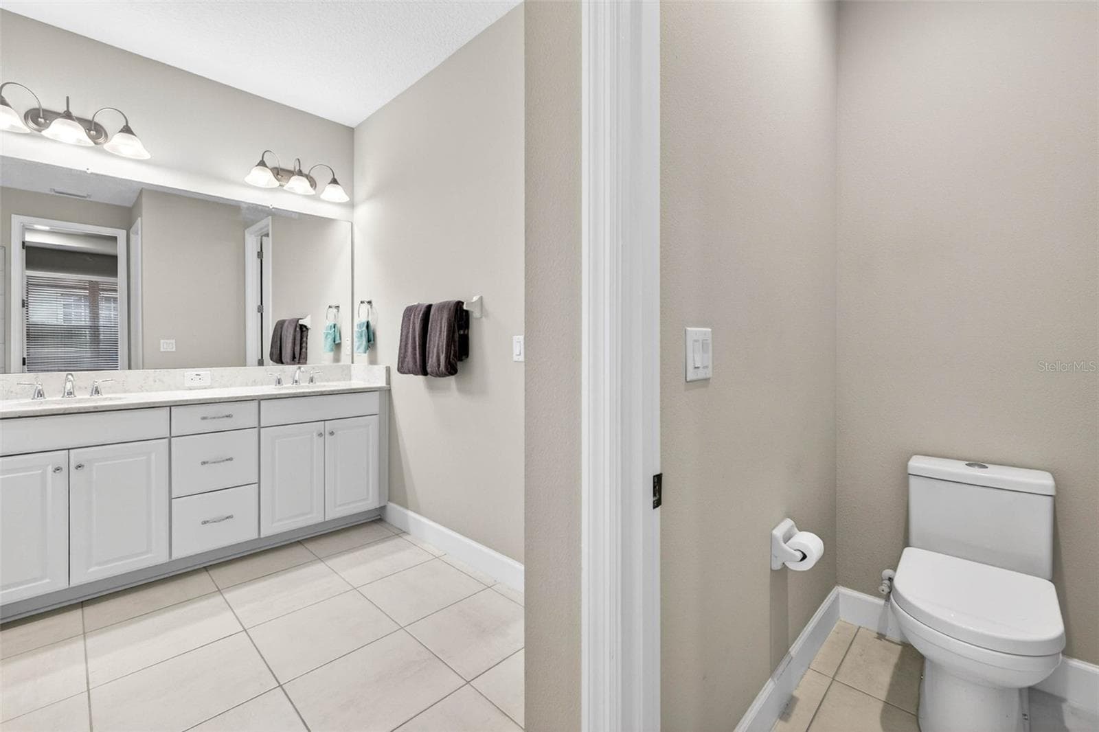 Primary Bathroom - 29894 CHAPEL CHASE DR, WESLEY CHAPEL