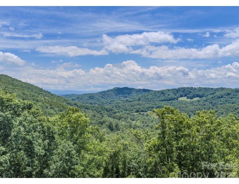 These views could be yours when you build your dream home. - Asheville