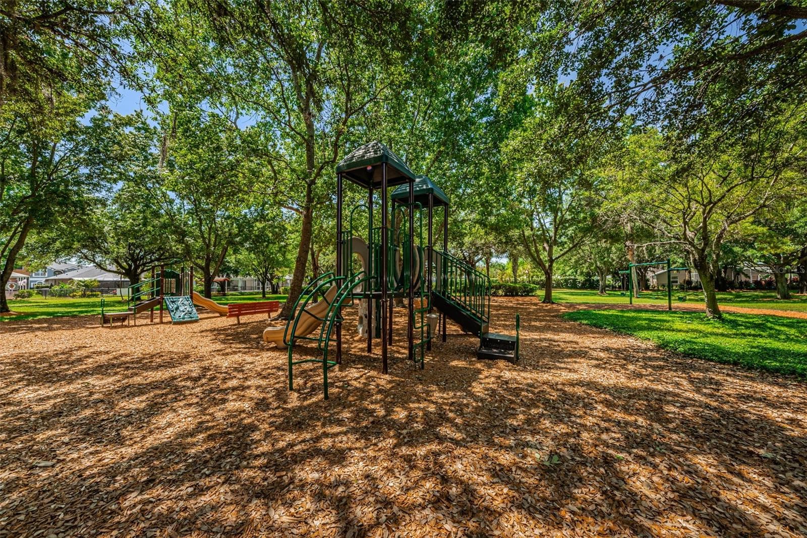 Single Family Residence at 1821 ALVARA PL, TRINITY, photo 43 of 63