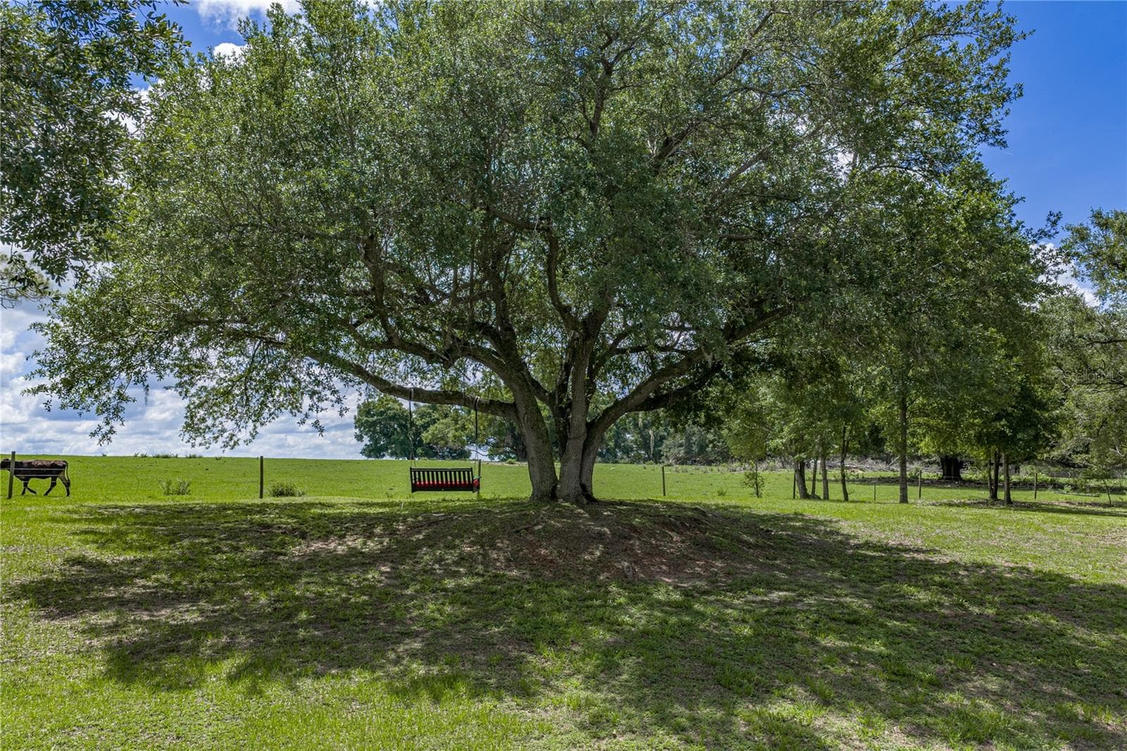 Single Family Residence at 37624 SKY RIDGE CIR, DADE CITY, photo 87 of 89