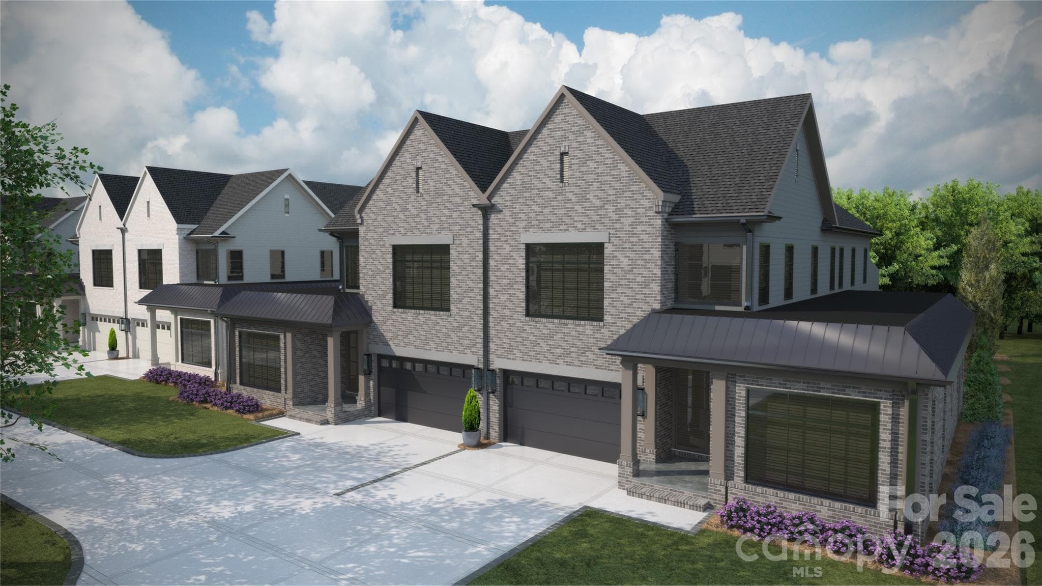 Rendering for Representation - Charlotte