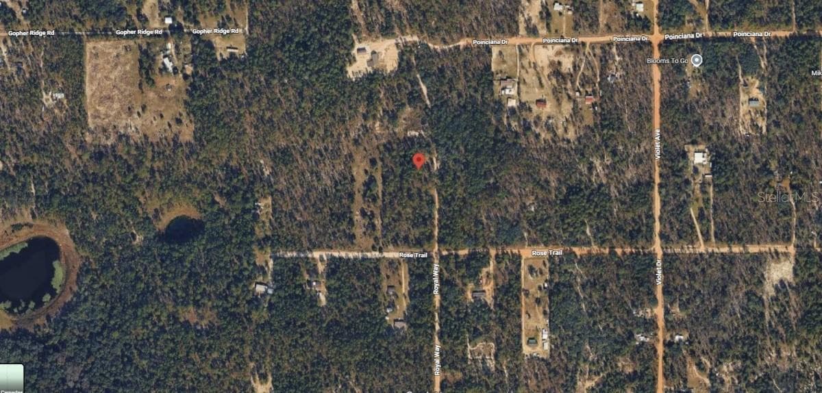 Land at ROYAL WAY, INTERLACHEN, photo 4 of 6