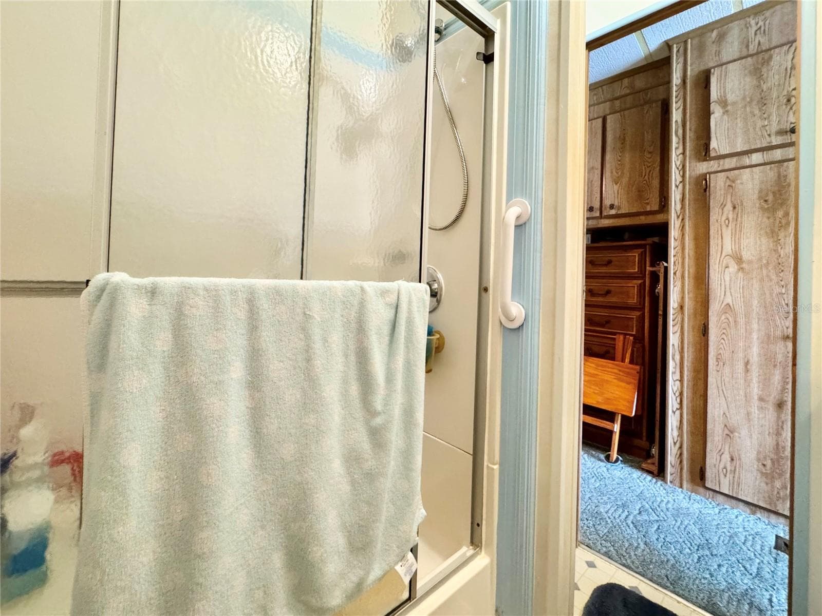 Shower - 35224 DODIE DR #Lot 12, ZEPHYRHILLS