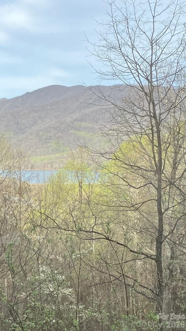 Seller' photo showing a early spring view of the Burnett Reservoir from the house. - Black Mountain