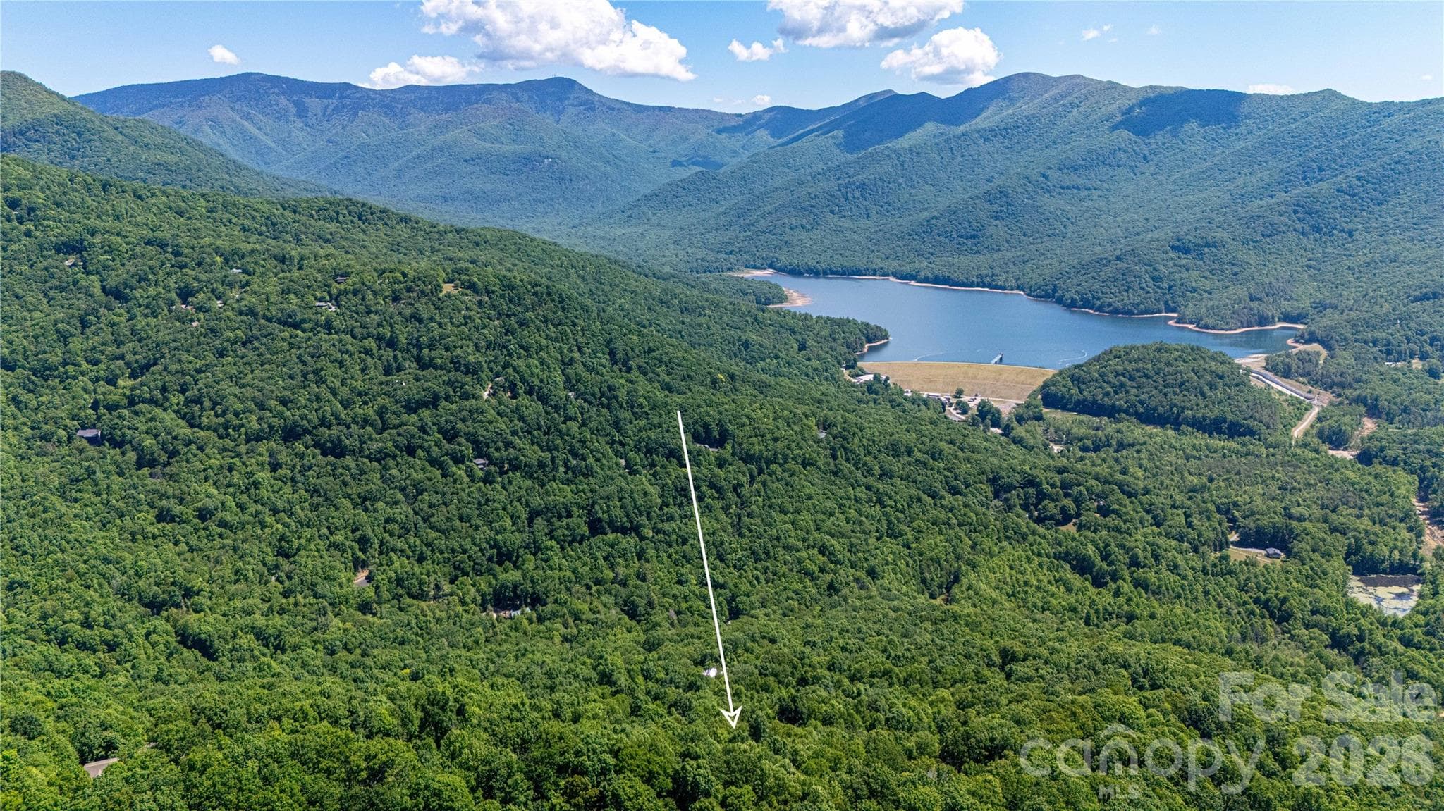 An overhead drone shot of the Burnett Reservoir, which you see in the winter/early spring from the house. - 22 Great Aspen Way, Black Mountain