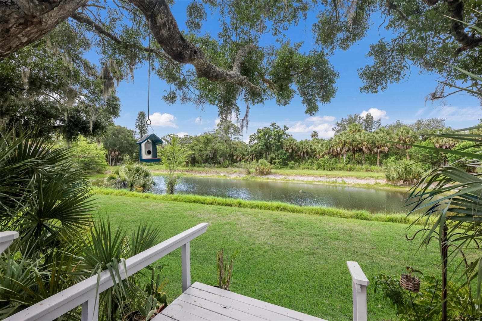 Amazing bird watching and wildlife outside your backyard. - 851 FAULKWOOD CT, SARASOTA