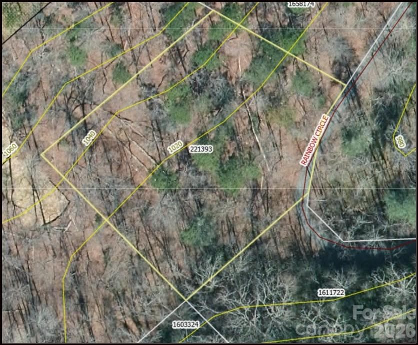 Lot at Lake Lure, photo 2 of 19