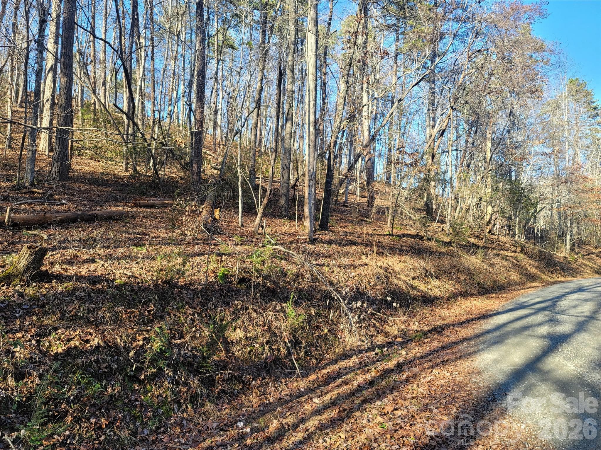 Lot at Lake Lure, photo 8 of 19