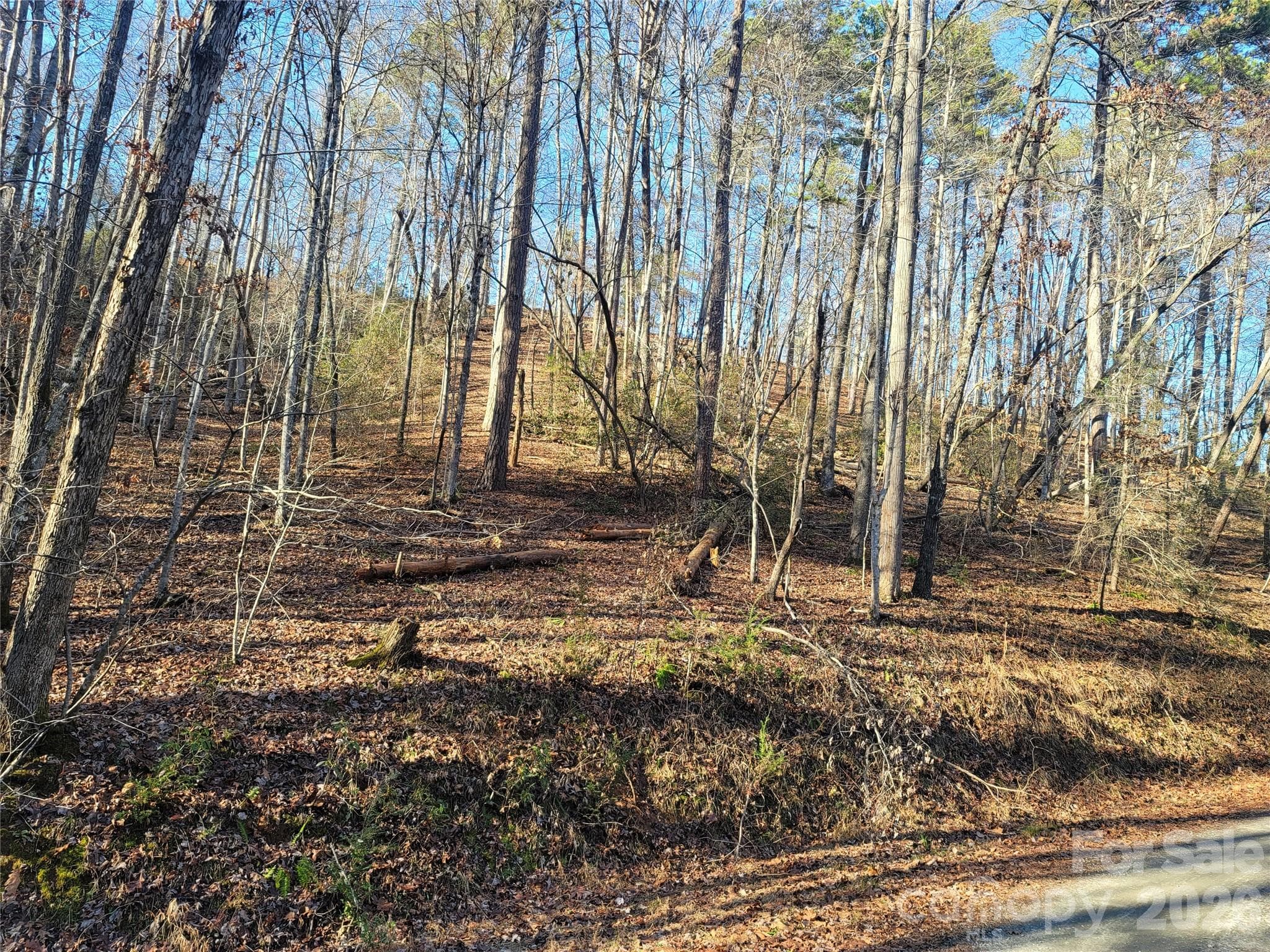 Lot at Lake Lure, photo 13 of 19