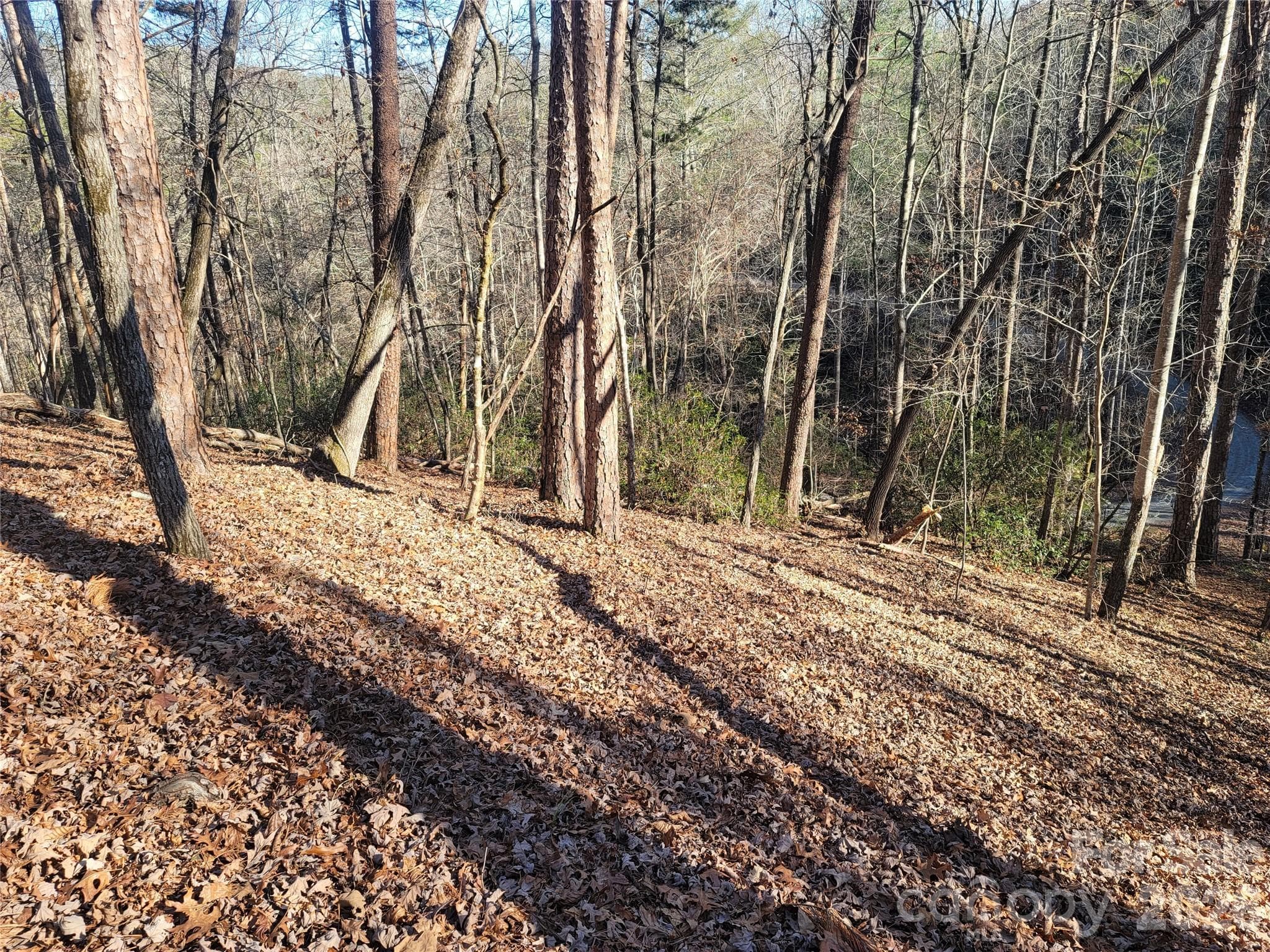 Lot at Lake Lure, photo 15 of 19