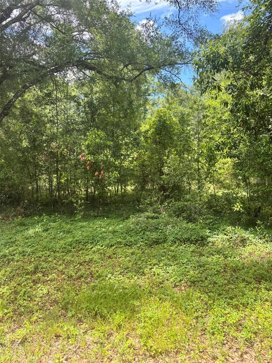 8230 NW 166TH ST