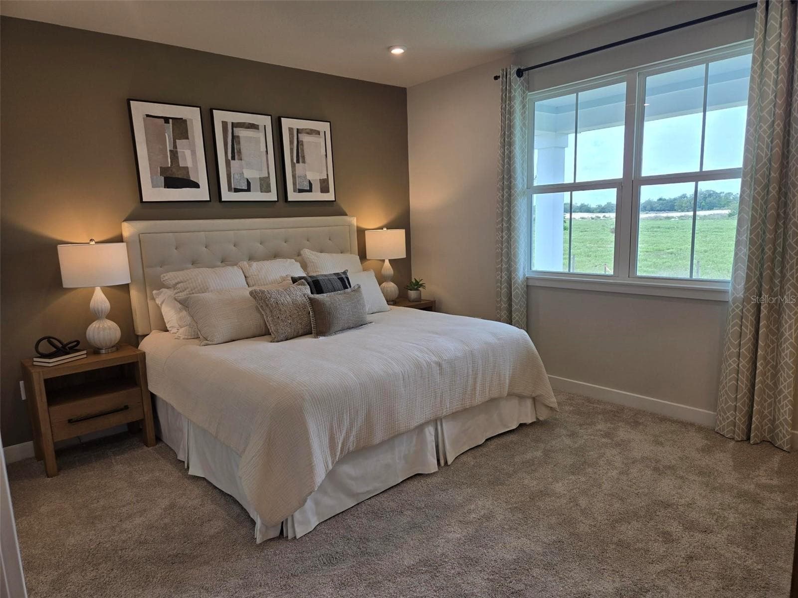 Owner's Suite - 18863 EMERALD SUMMIT DR, SPRING HILL