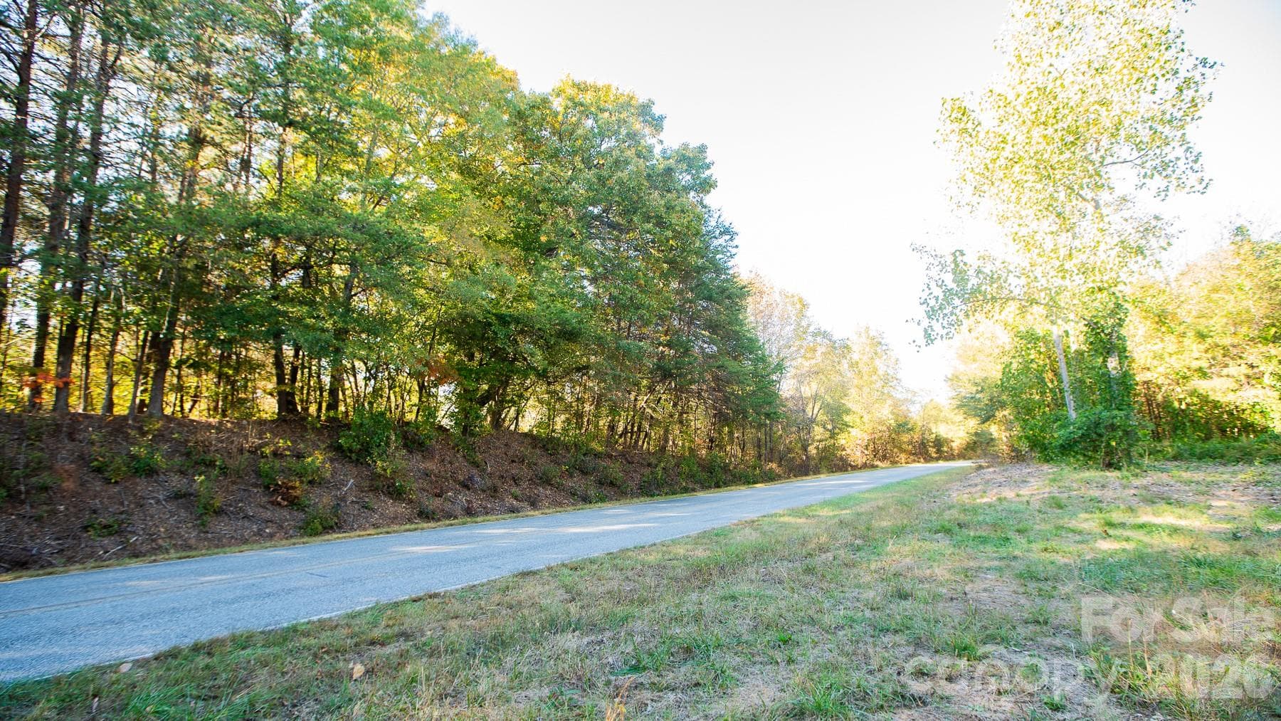 Unimproved Commercial at 000 Industrial Park Road, Lincolnton, photo 2 of 25