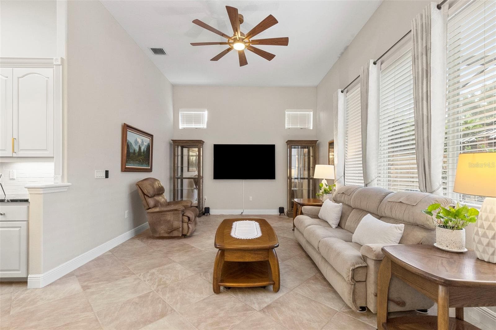 Family Room - 20203 CANE RIVER WAY, TAMPA