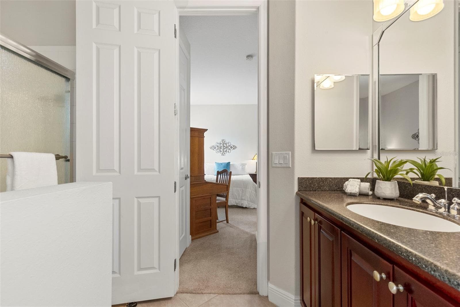 Jack-N-Jill Bathroom - 20203 CANE RIVER WAY, TAMPA