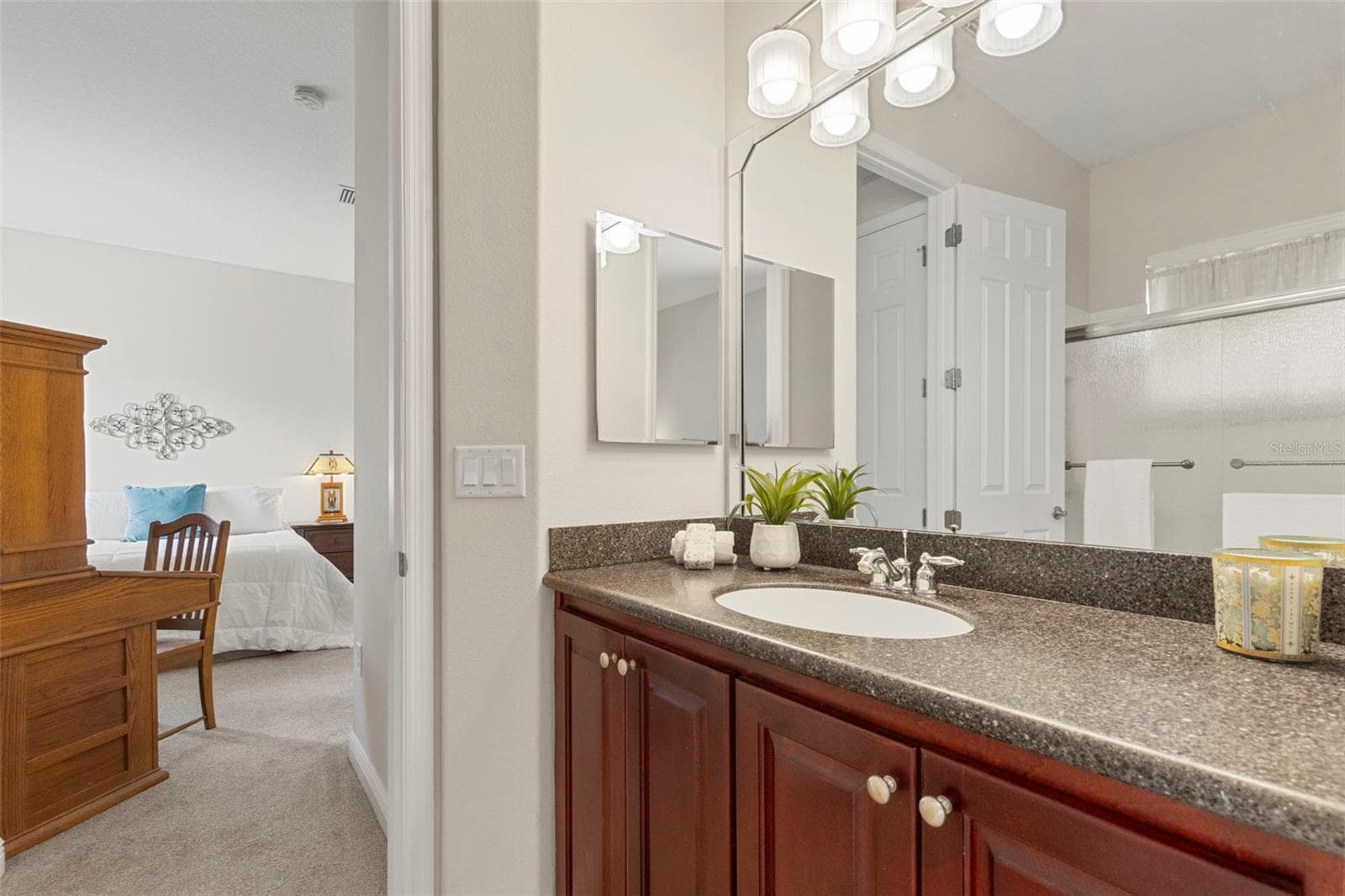 Jack-N-Jill Bathroom - 20203 CANE RIVER WAY, TAMPA