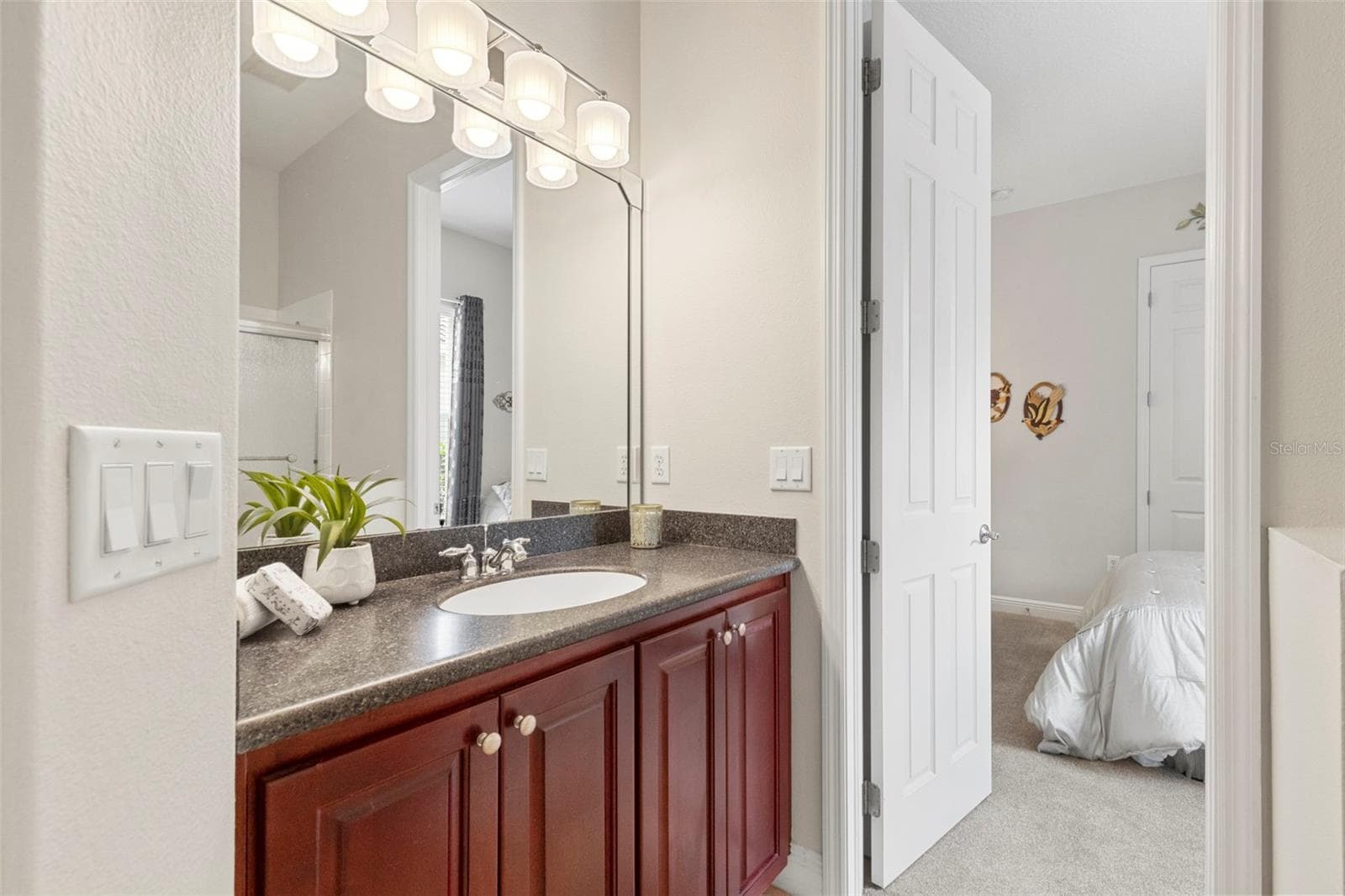 Jack-N-Jill Bathroom-Updated Tub Enclosure - 20203 CANE RIVER WAY, TAMPA