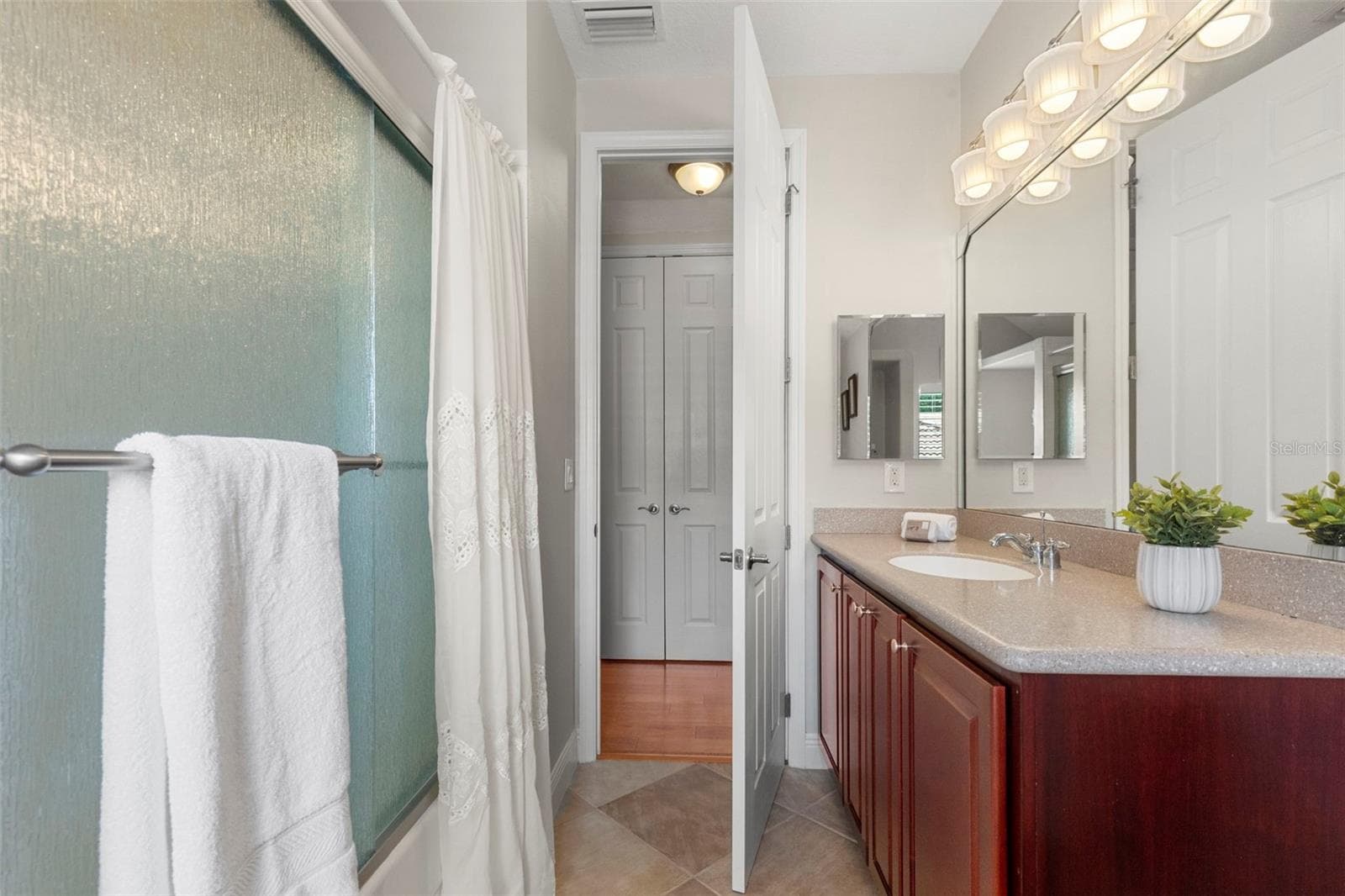 En-Suite Bathroom-Updated Tub Enclosure - 20203 CANE RIVER WAY, TAMPA