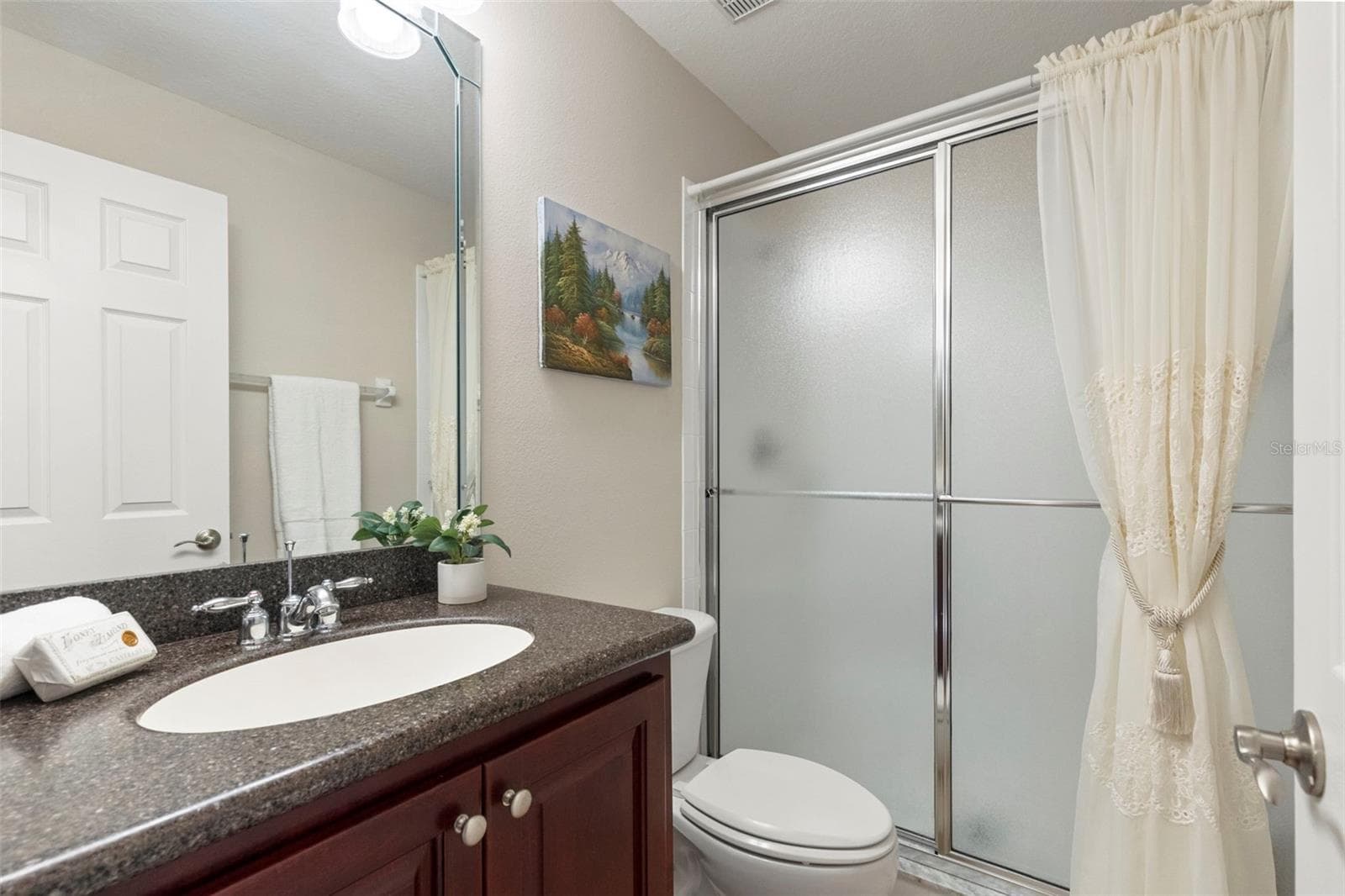 Full Bathroom - 20203 CANE RIVER WAY, TAMPA