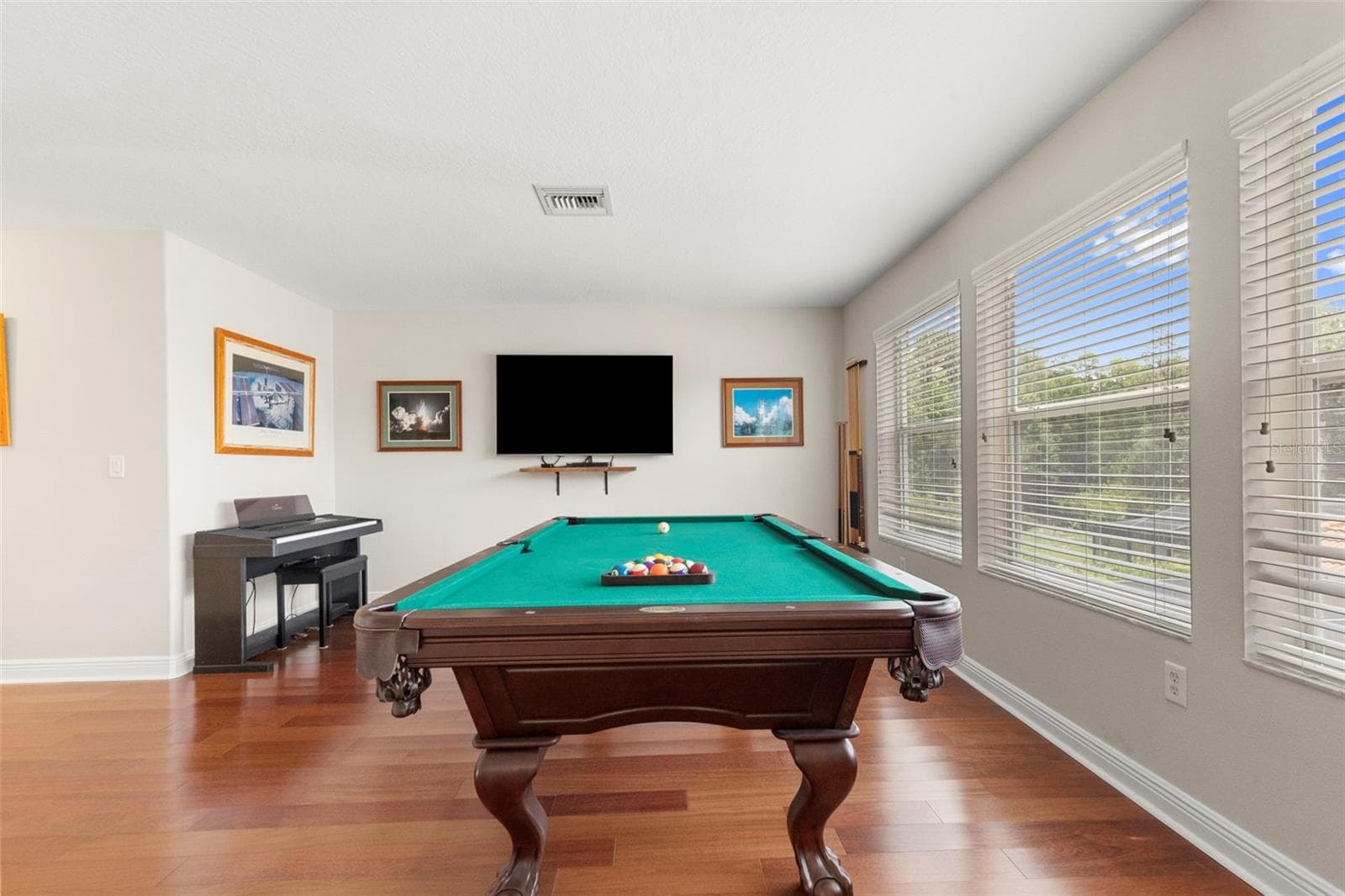 Loft-Engineered Hardwood - 20203 CANE RIVER WAY, TAMPA
