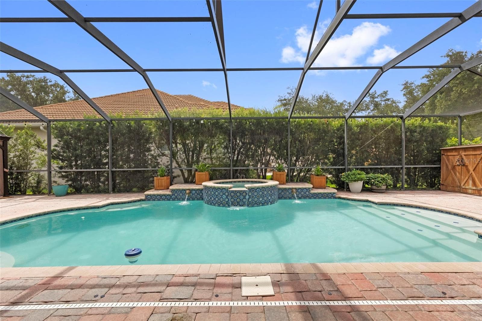Heated Pool & Spa - 20203 CANE RIVER WAY, TAMPA
