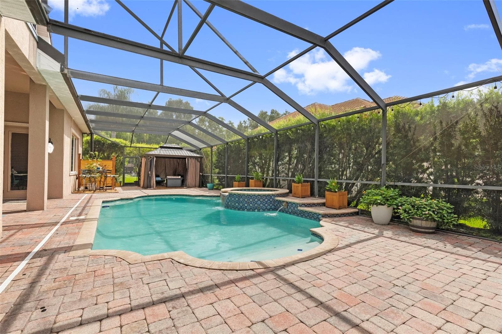 Pool-Screen Enclosure - 20203 CANE RIVER WAY, TAMPA