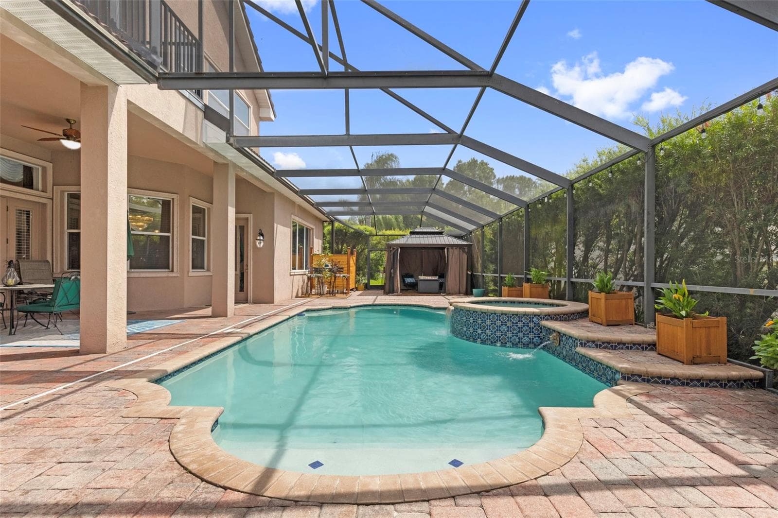 Pool & Spa - 20203 CANE RIVER WAY, TAMPA