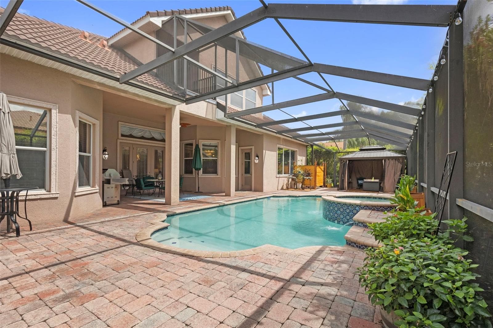 Pool & Spa - 20203 CANE RIVER WAY, TAMPA