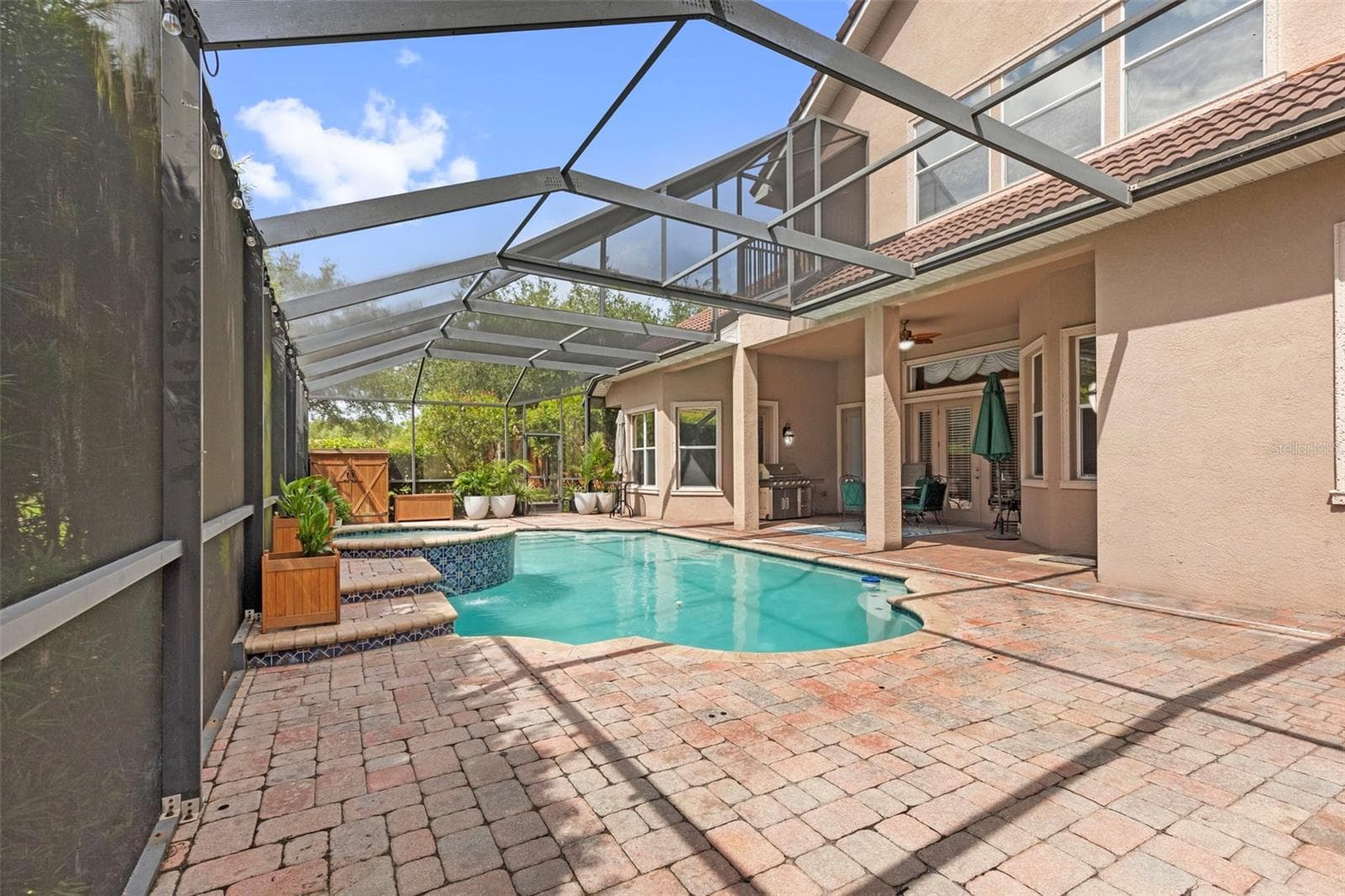 Pool & Spa - 20203 CANE RIVER WAY, TAMPA