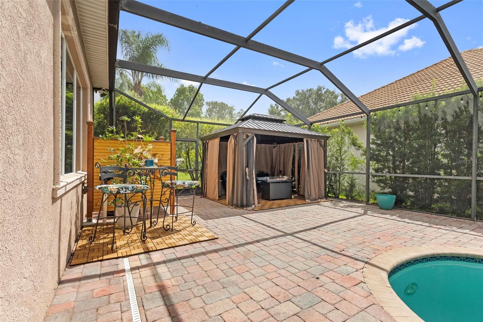 Pool - 20203 CANE RIVER WAY, TAMPA