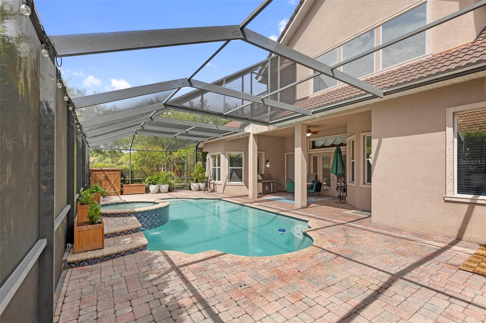 Pool - 20203 CANE RIVER WAY, TAMPA