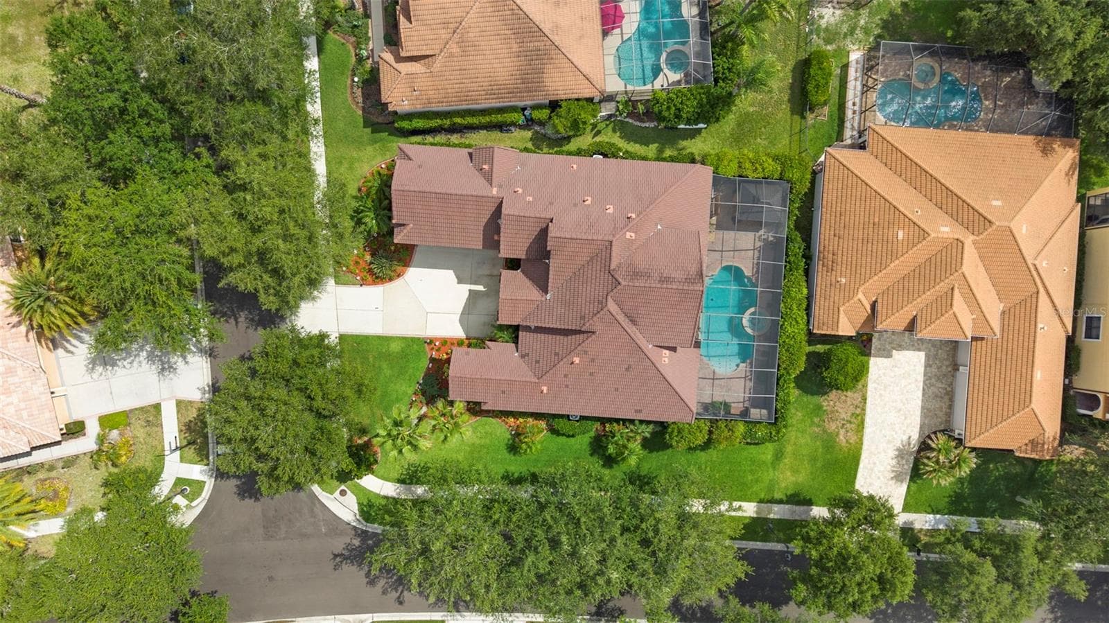 Aerial Of Property - 20203 CANE RIVER WAY, TAMPA