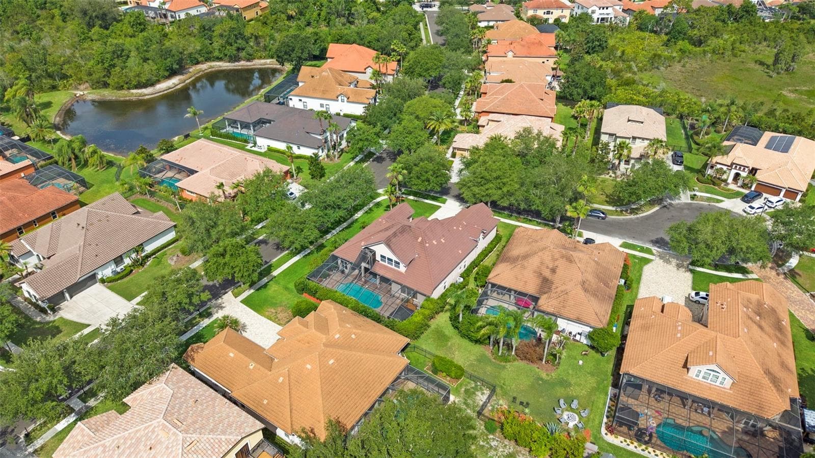 Aerial Of Property - 20203 CANE RIVER WAY, TAMPA
