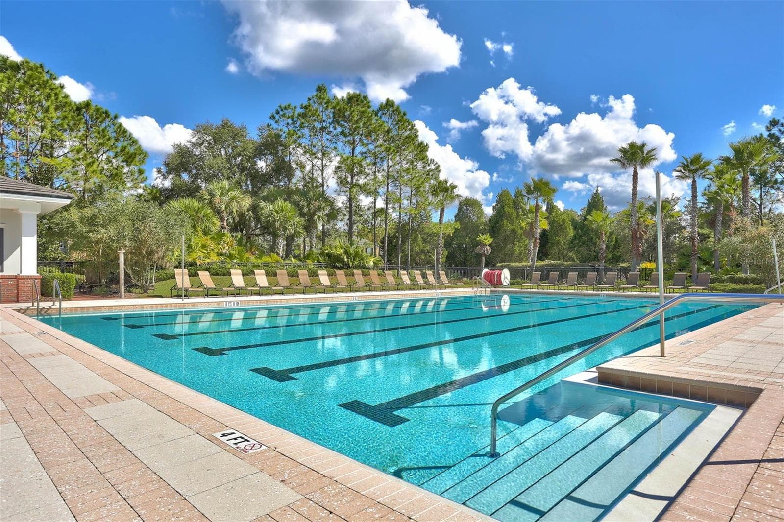 Heated Lap Pool - 20203 CANE RIVER WAY, TAMPA