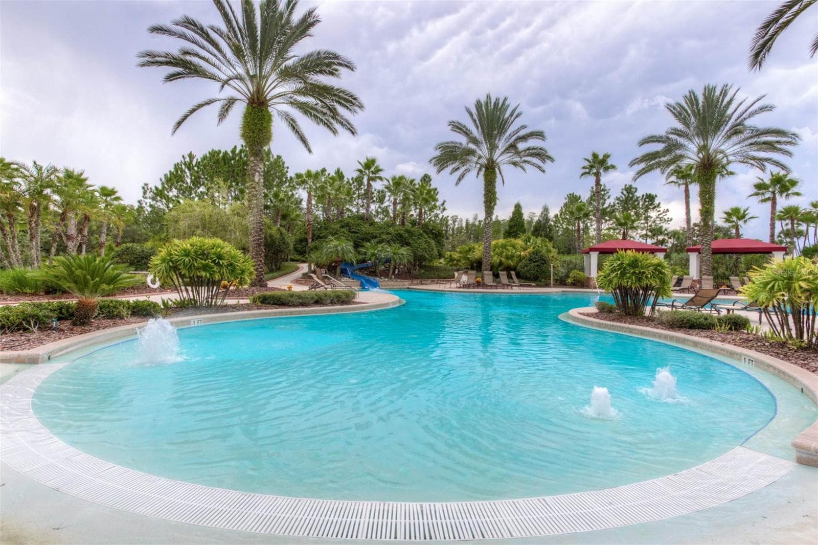 Heated Lagoon Pool - 20203 CANE RIVER WAY, TAMPA