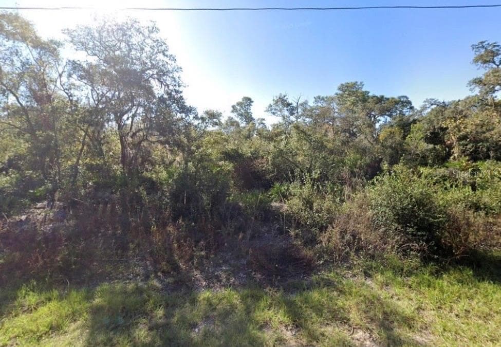 441 VERNON CT