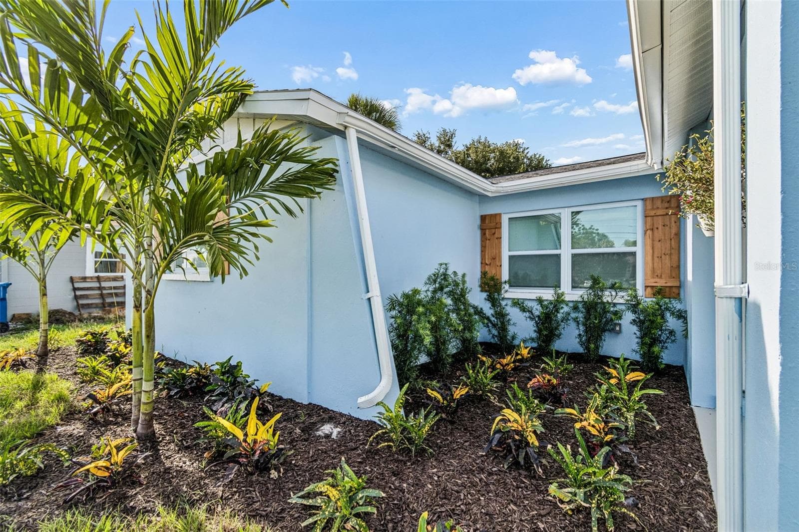 New tropical landscaping! - 1101 54TH AVE S, ST PETERSBURG