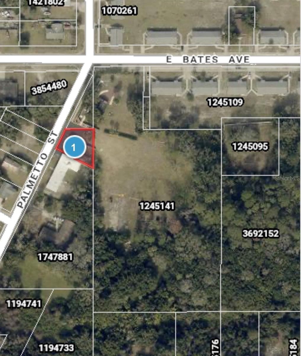 Restaurant: Parcel is .12 acres - 503 PALMETTO ST, EUSTIS