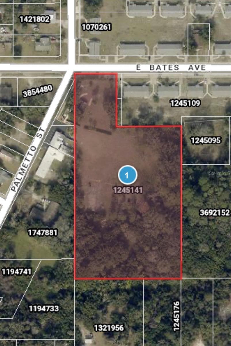 Parcel behind restaurant is 4.2 acres - 503 PALMETTO ST, EUSTIS