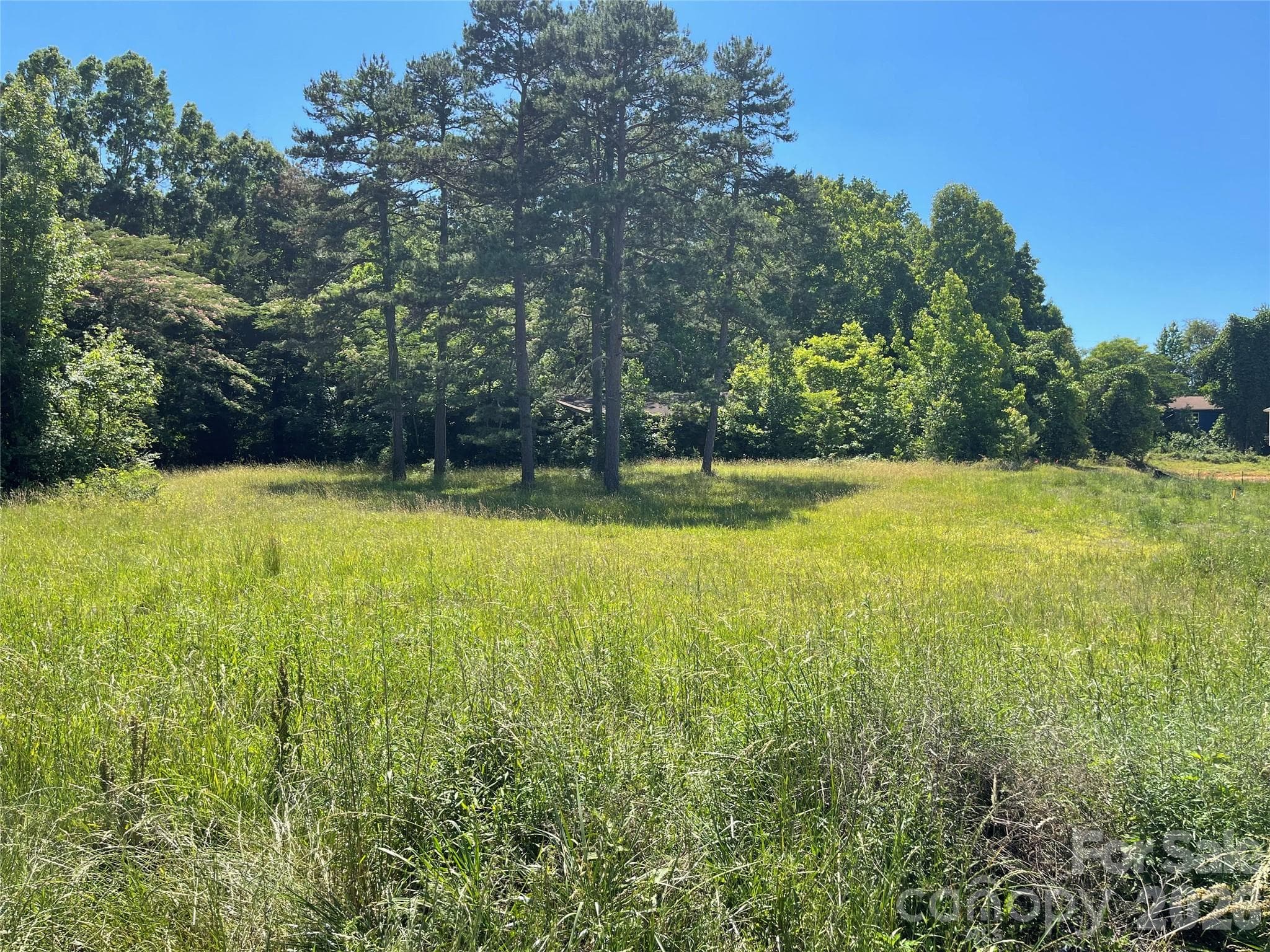 Lot at 1314 WHITE Street, Lexington, photo 2 of 2