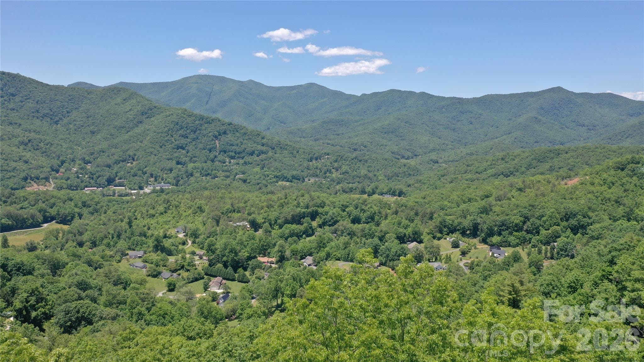 Tree top drone shot - 272 Kako Ridge, Sylva
