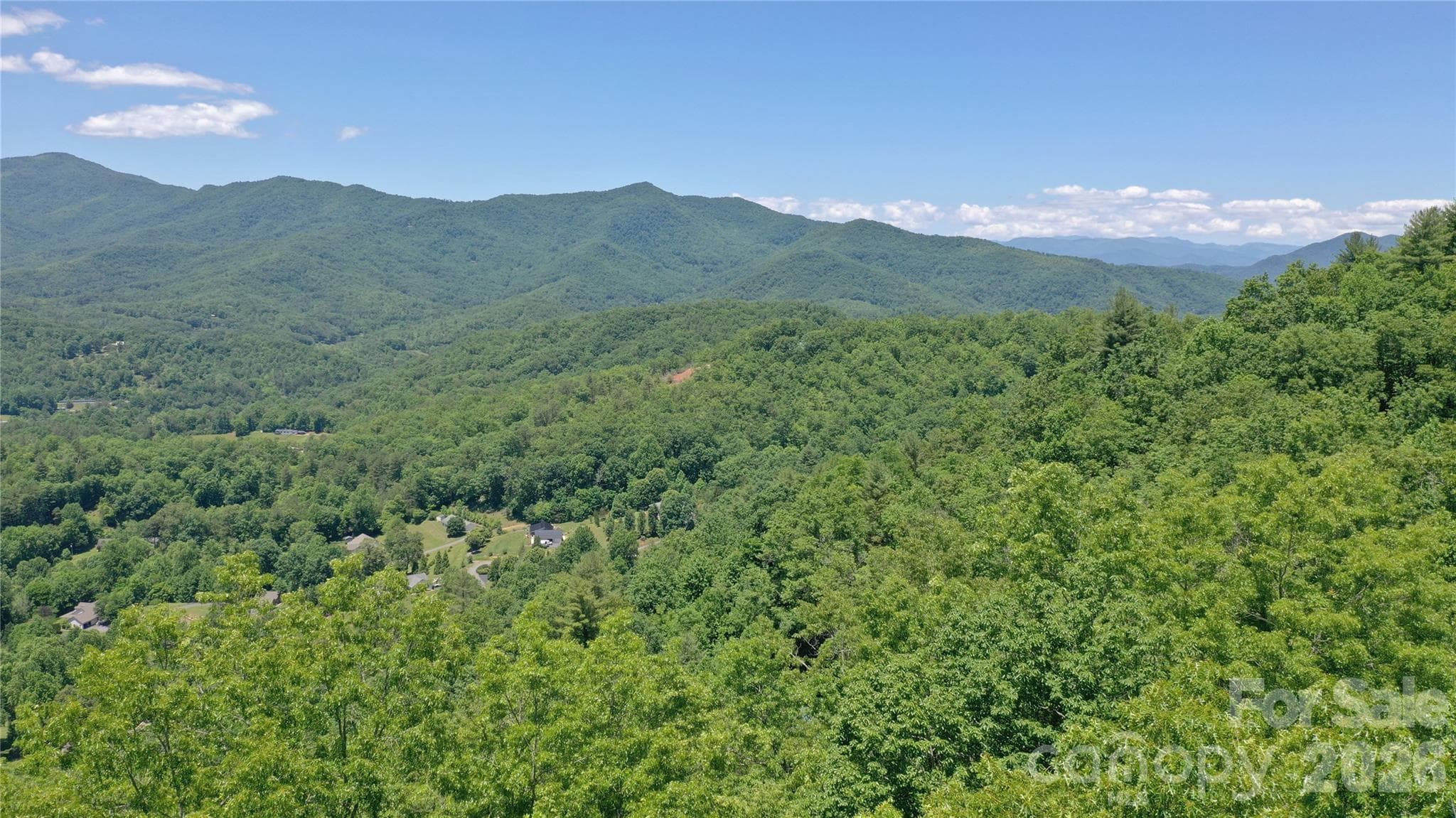 Tree top drone shot - 272 Kako Ridge, Sylva