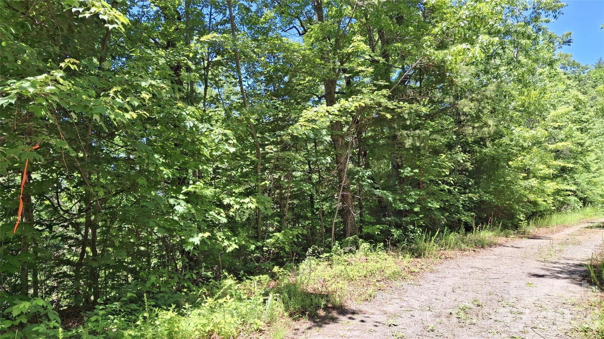 Lot at 272 Kako Ridge, Sylva, photo 5 of 15