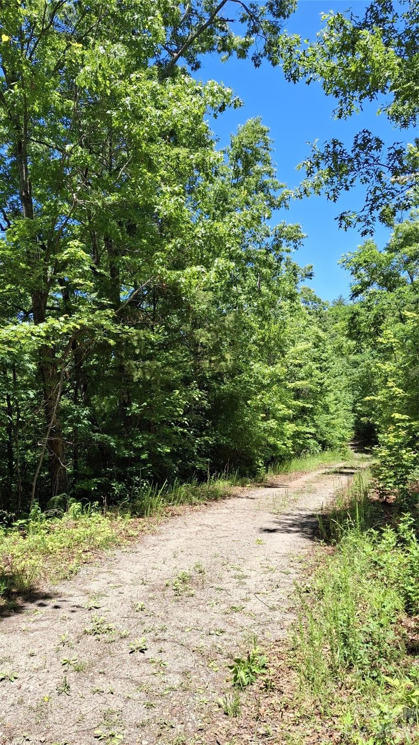 Lot at 272 Kako Ridge, Sylva, photo 8 of 15